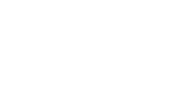 stc logo